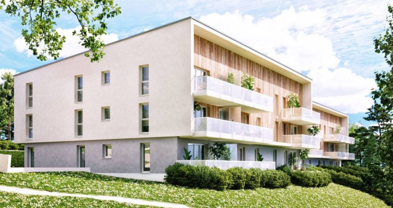 Achat / Vente programme immobilier neuf Viuz-en-Sallaz à 30 minutes de Genève (74250) - Réf. 12421